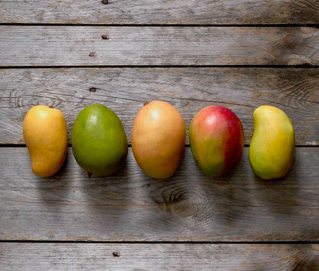 A Few Final Facts About Mangos