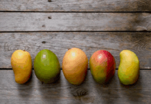 A Few Final Facts About Mangos